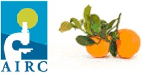 arance AIRC