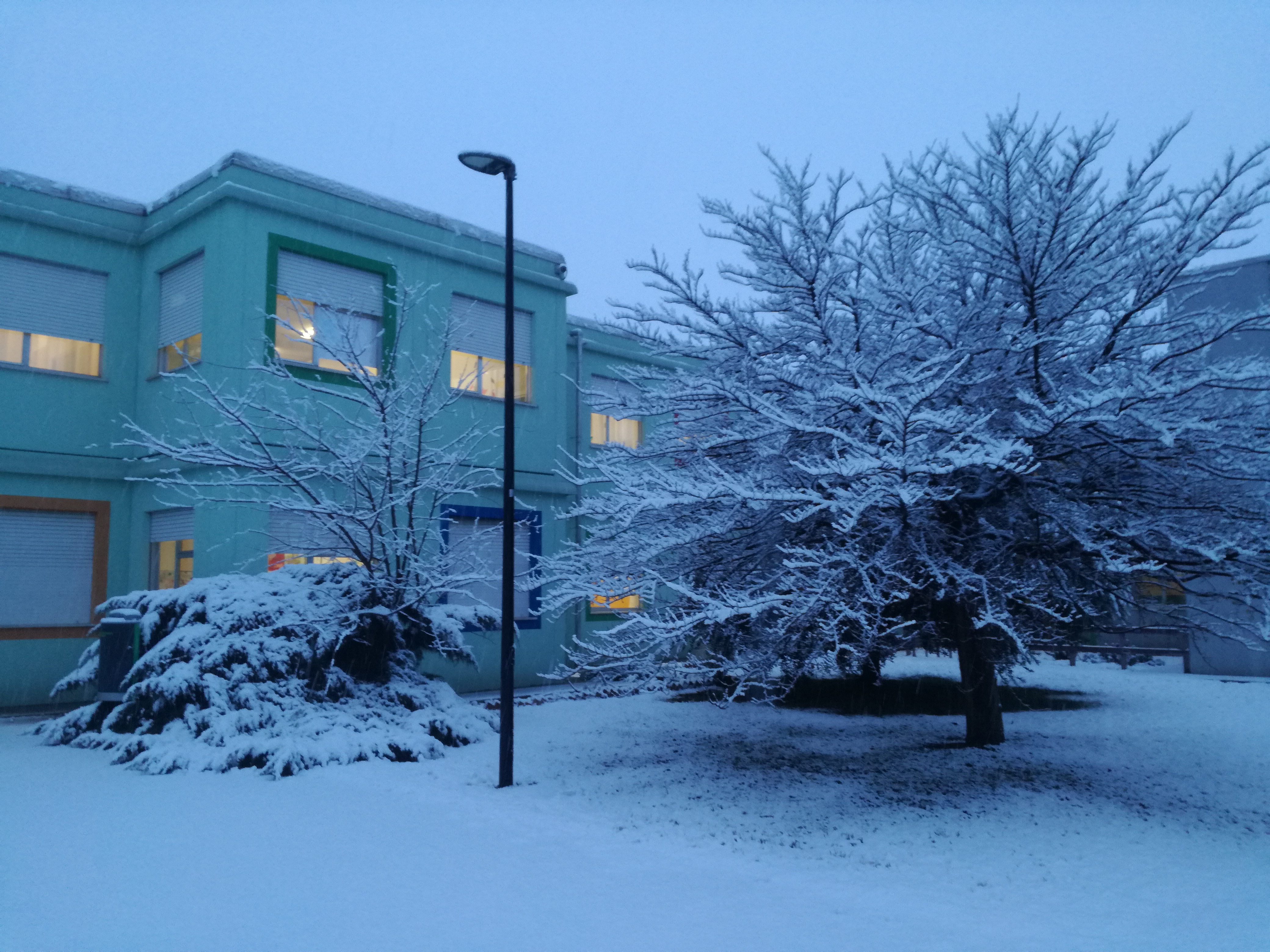 nevicata 1 feb 19